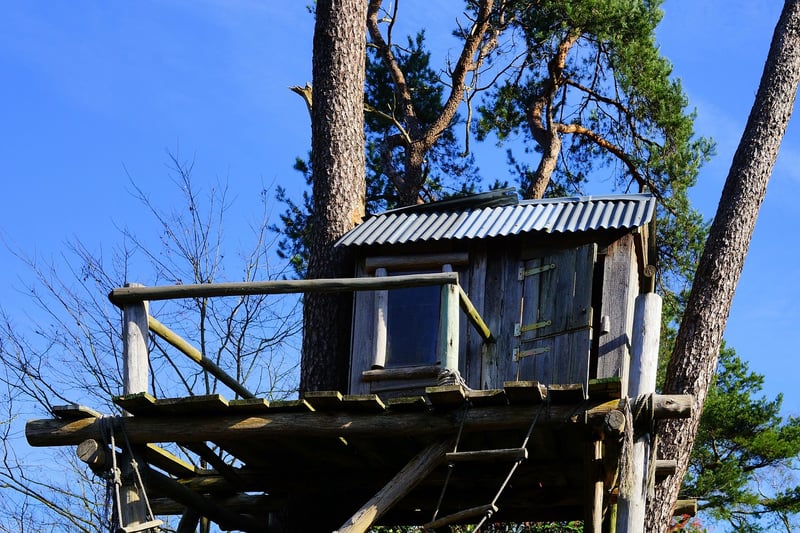 Treehotel in Sweden